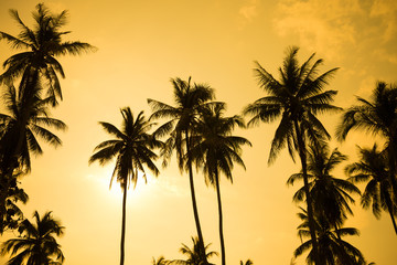 Obraz na płótnie Canvas Beautiful silhouette coconut palm tree on the beach in golden sunset evening background. Travel tropical summer beach holiday vacation or save the earth, nature environmental concept.