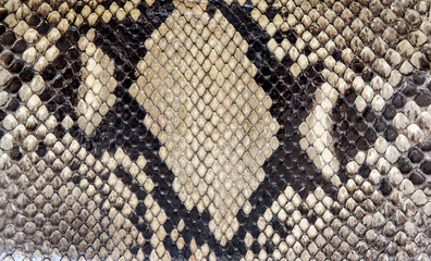 Seamless snake skin texture. Fashion for tropical reptiles. Genuine Python skin. Black grey background.