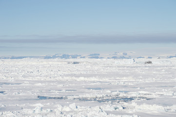 Fototapeta na wymiar A view of the antarctica, sea and ice. Ice melting at the antarctica, global warming is a present danger for future generations 