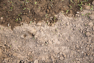Texture of the ground ready for planting