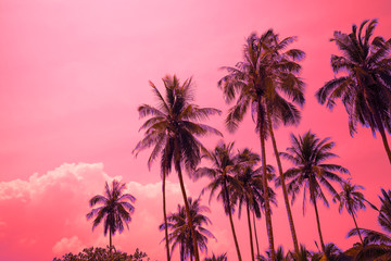 Beautiful coconut palm tree forest in sunshine day clear sky background color fun tone. Travel tropical summer beach holiday vacation or save the earth, nature environmental concept.