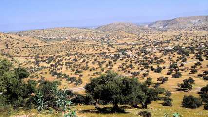 marocco