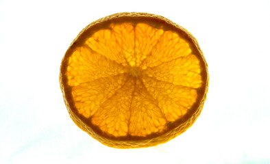 close up view of an isolated and backlit tangerine fruit slice on a bright white background with copy space