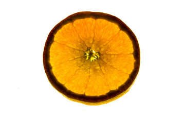 close up view of an isolated and backlit orange fruit slice on a bright white background with copy space