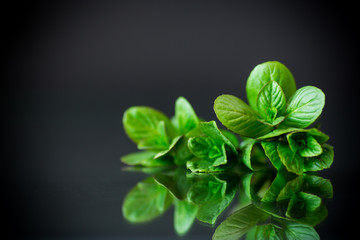 bunch of fresh green mint on black background