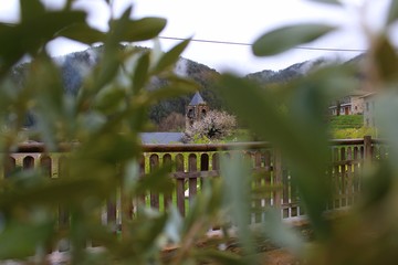 campanario entre hojas