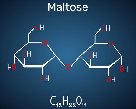 Maltose, malt sugar molecule, is a disaccharide. Structural chemical formula on the dark blue background