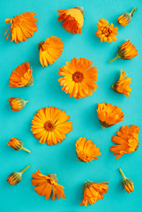 Flower pattern background. Colorful flat lay marigold floral pattern on a blue background. Top view.