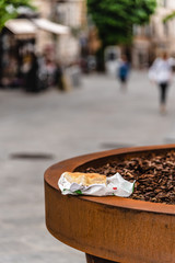 street food: the Genoese flat bread seasoned with oil and salt; is called focaccia