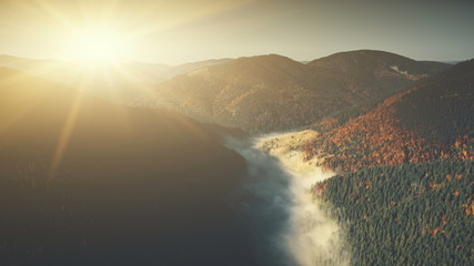 Epic Mountain Slope Surface Dawn Scene Aerial View. Autumn Highland Coniferous Forestry Scenery Overview. Thick Fog Covered Hill Bottom Landscape Natural Environment Drone Flight
