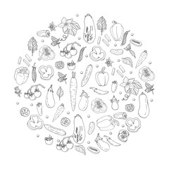 Circle made of contour doodles of different fresh vegetables. Black and white template with healthy food elements on white background for your design