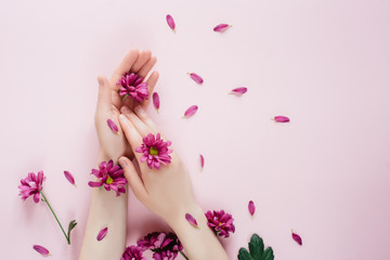 Naklejka na ściany i meble Close-up beautiful female hands with purpure flowers on pink background. Cosmetics for hands anti wrinkle.Top view, copy space