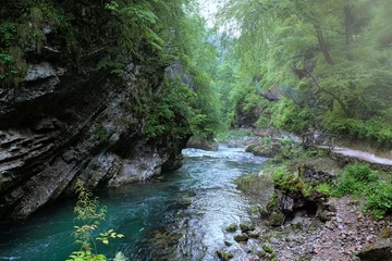 Deurstickers Mountain river in the forest of the Vintgar kloof Slovenie © Tineke Jongewaard