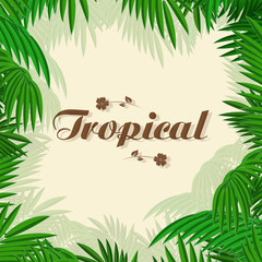 A square frame for text or a photo of palm leaves. Postcard with the inscription. Tropical plants. Vector illustration.