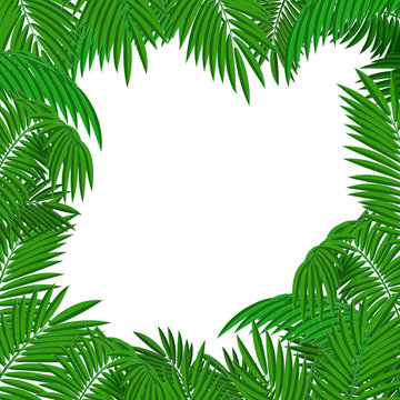 A square frame for text or a photo of palm leaves. Tropical plants. Vector illustration.