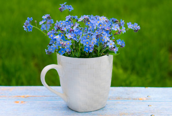  Small dream flowers in a white cup on a background of green grass. Postcard