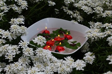 Schüssel mit brennenden Schwimmkerzen und Glücksklee 