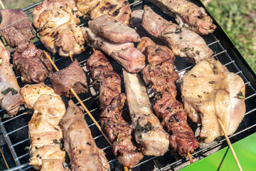 Cooking outdoors: meat on barbecue grill