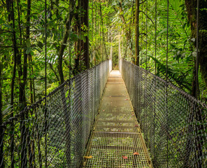 Mistico Arenal Hanging Bridges Park