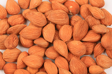 apricot kernels isolated on white background