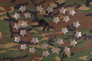 gold stars on military camouflage fabric