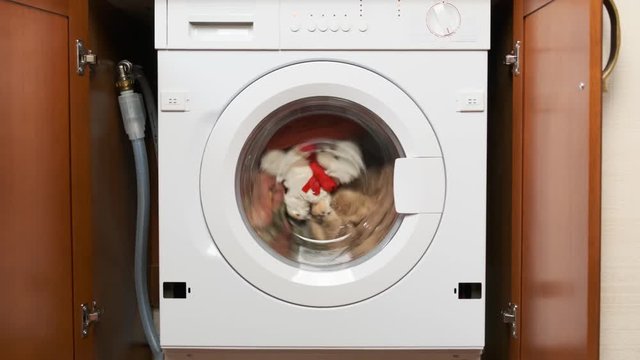 Teddy bear spinning in washing machine during wash. Soft toy in washer.