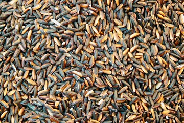 Pile of thai black glutinous rice or sticky rice