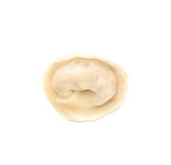 Fototapeta na wymiar Fresh boiled dumpling on white background, top view