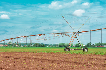 Pivot irrigation system in cultivated soybean and corn field