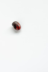 One colorful kidney bean on white background. Copyspace
