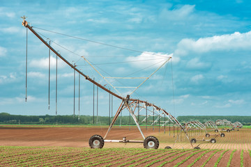 Pivot irrigation system in cultivated soybean and corn field