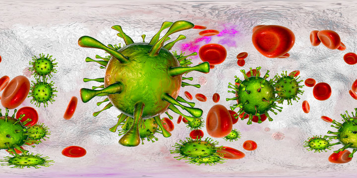 Cytomegaloviruses CMV in human blood, 360-degree spherical panorama, 3D illustration. A DNA virus from Herpesviridae family, mostly causes diseases in newborns and immunocompromised patients
