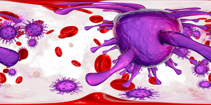 Cytomegaloviruses CMV in human blood, 360-degree spherical panorama, 3D illustration. A DNA virus from Herpesviridae family, mostly causes diseases in newborns and immunocompromised patients