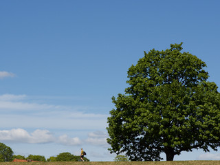 The ordinary scenery of Copenhagen, Denmark before the emergence of the Covid-19 pandemic