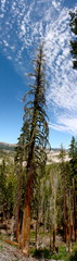 Fototapeta premium Utica and Union Reservoirs in Stanislaus National Forest in California 
