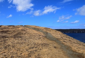 East Coast trail hiking path along the edge of the ocean 