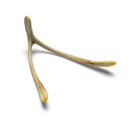 Small Wish Bone