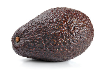 Single dark brown ripe avocado (bilse variety) isolated on white background