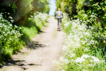 Fototapeta na wymiar randonnée en vtt dans les chemins de campagne en été