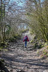 Obraz premium Marche au Mont Saint-Michel, Massif des Bauges, Savoie, Auvergne-Rhône-Alpes, France 