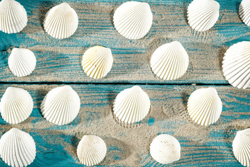 Desk of free space and summer shell 