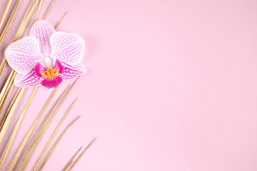 Fototapeta na wymiar Golden palm leaf and orchid flower on pink background. Tropical luxury minimal summer background. Flat lay. Copy space.