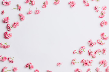 Obraz na płótnie Canvas Spring flowers. Pink flowers on white background