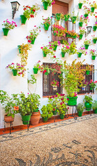 Nice patio in the old town of Cordoba