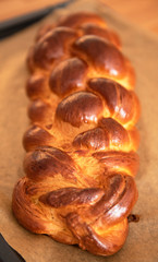 Fresh Homemade Challah Bread
