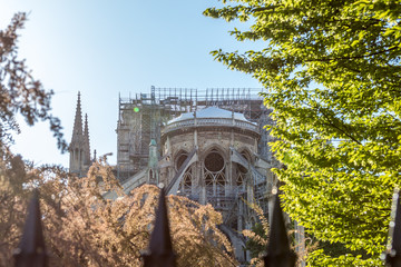 La Cathédrale Notre-Dame de Paris 1 mois après l'incendie