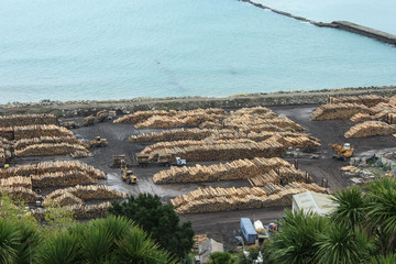 Piles of logs from New Zealand's timber industry ready to be exported from the Port of Napier, New Zealand