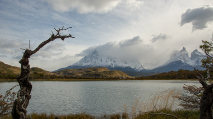 Explora Viewpoint in Chile Patagonia Torres del Plaine.  With barren trees and lake framing the mountain peak