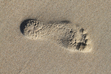 Footprints in the sand