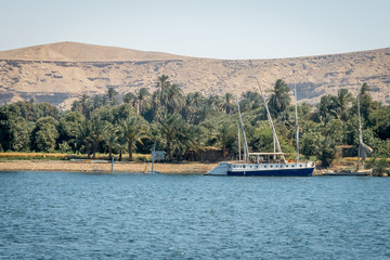 Fototapeta na wymiar Cruises on the Nile river. Egypt. April 2019